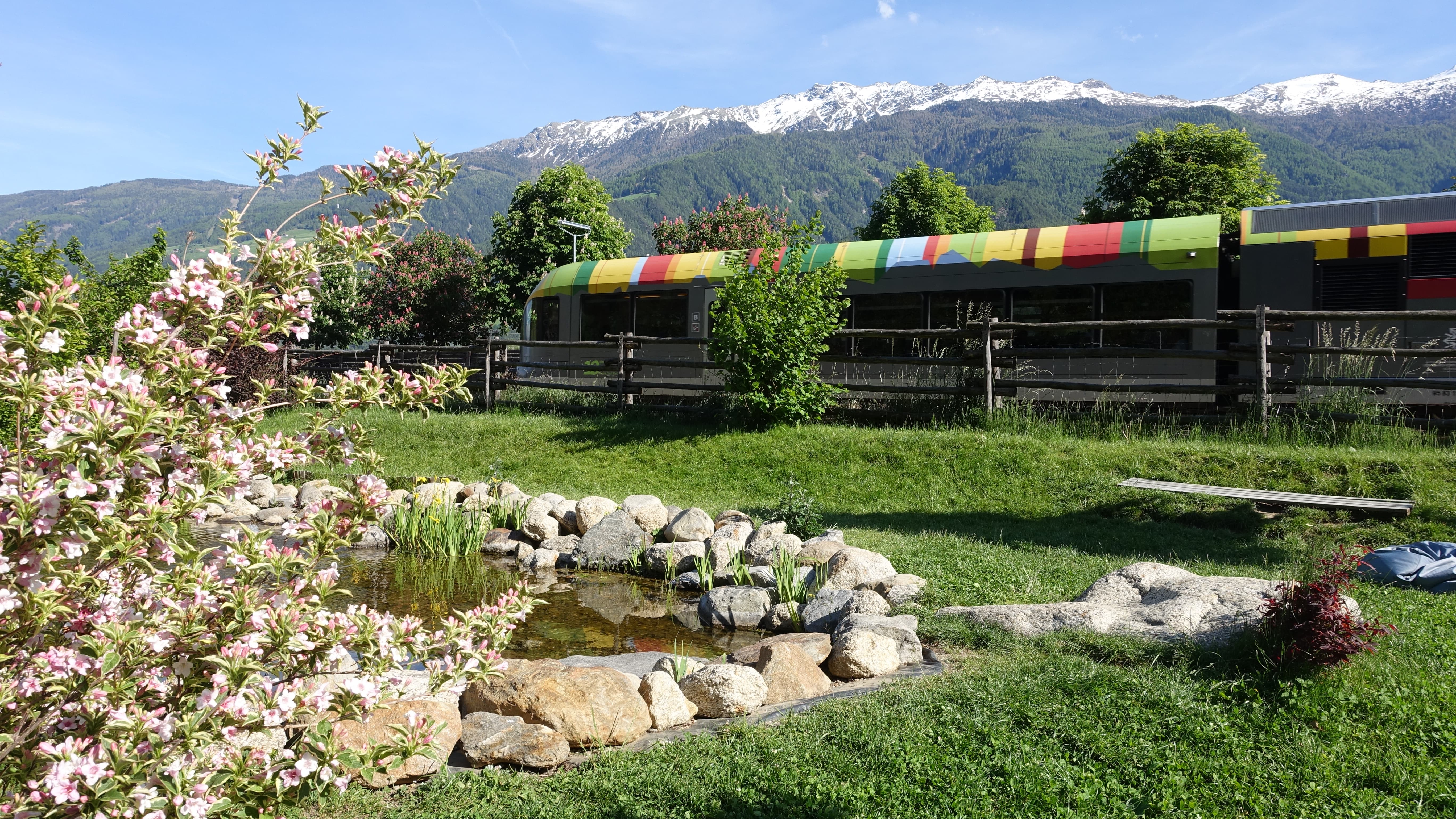 Train in the middle of the nature